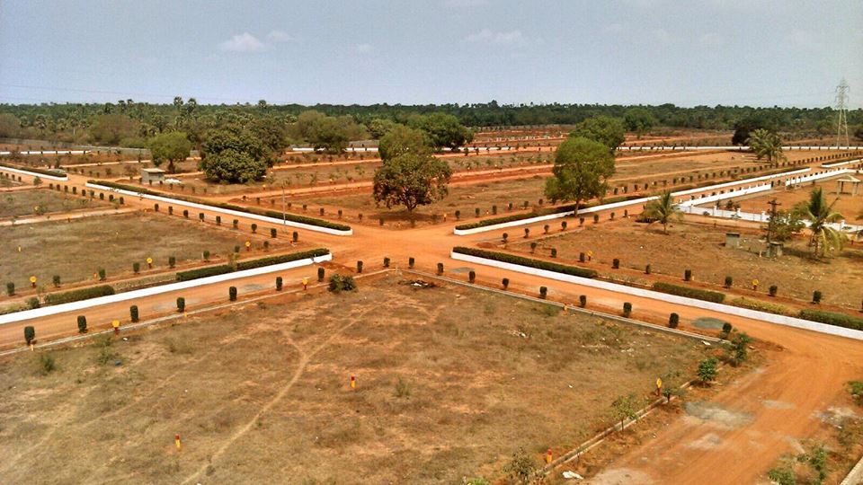 Plot in Bihta